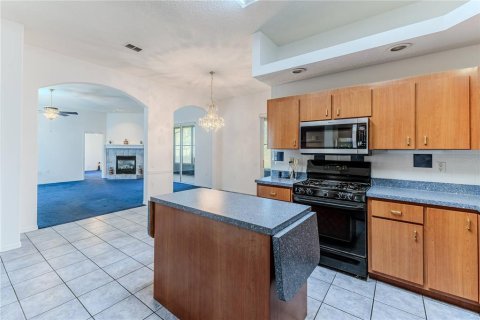 House in Floral City, Florida 5 bedrooms, 425.03 sq.m. № 1574897 - photo 29