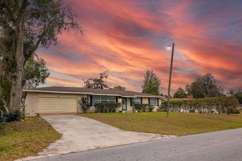 Villa ou maison à vendre à Inverness, Floride: 7 chambres, 308.9 m2 № 1782918 - photo 7
