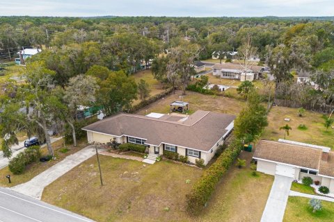 Villa ou maison à vendre à Inverness, Floride: 7 chambres, 308.9 m2 № 1782918 - photo 3