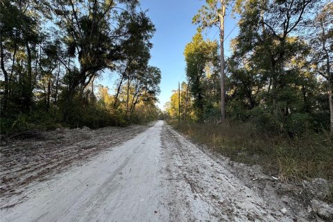 Land in Old Town, Florida № 2162441 - photo 2