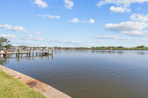 House in Saint Petersburg, Florida 3 bedrooms, 197.6 sq.m. № 1750764 - photo 11