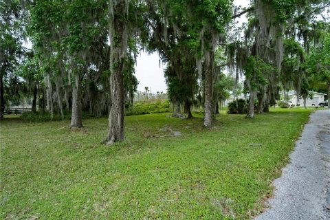 Land in Wildwood, Florida № 2275530 - photo 3