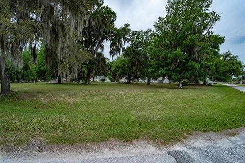 Land in Wildwood, Florida № 2275530
