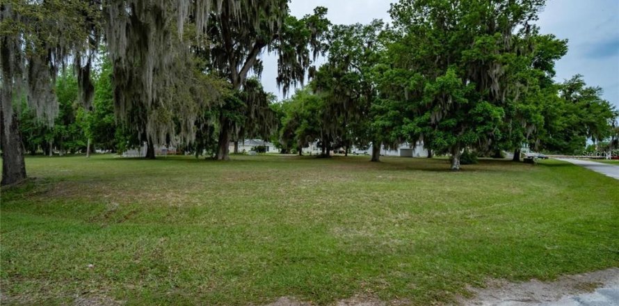 Land in Wildwood, Florida № 2275530