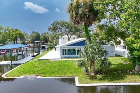 House in Crystal River, Florida 3 bedrooms, 227.24 sq.m. № 1866312 - photo 4