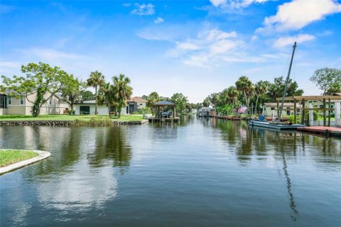 House in Crystal River, Florida 3 bedrooms, 227.24 sq.m. № 1866312 - photo 7