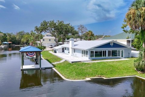 House in Crystal River, Florida 3 bedrooms, 227.24 sq.m. № 1866312 - photo 3