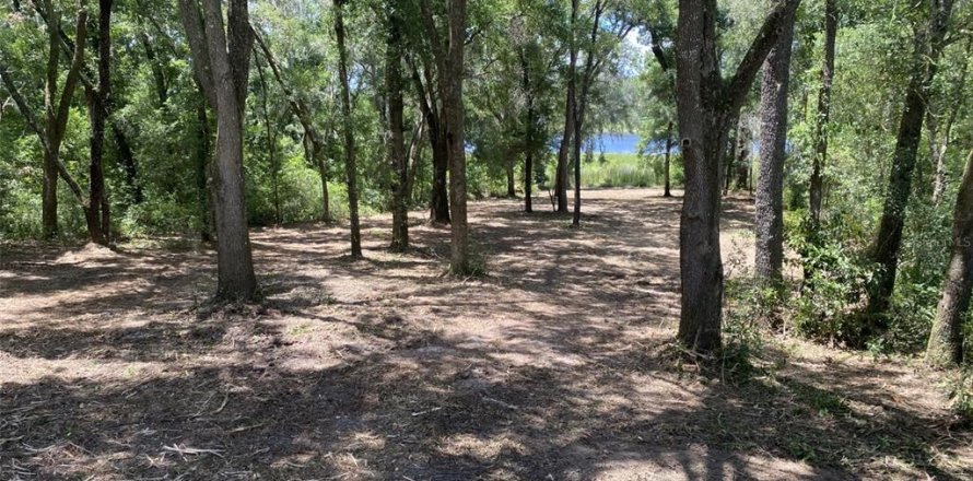 Terrain à Dunnellon, Floride № 1257693