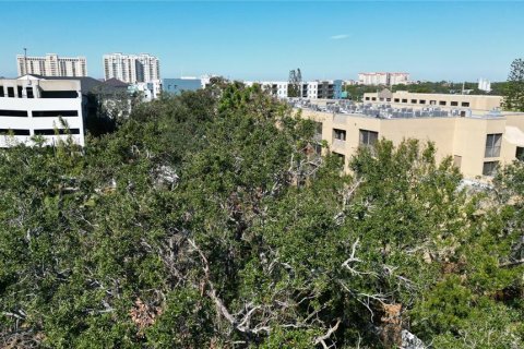 Immobilier commercial à vendre à Sarasota, Floride № 2224412 - photo 5