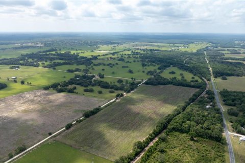 Land in Morriston, Florida № 1747455 - photo 15