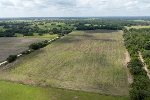 Land in Morriston, Florida № 1747455 - photo 11