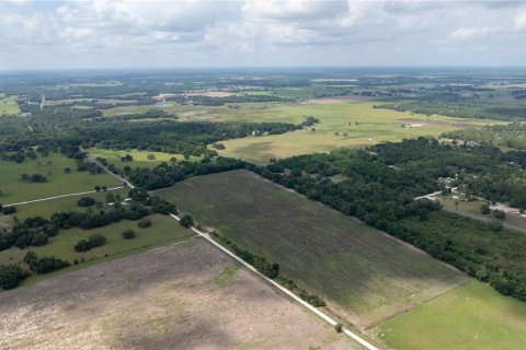 Land in Morriston, Florida № 1747455 - photo 14