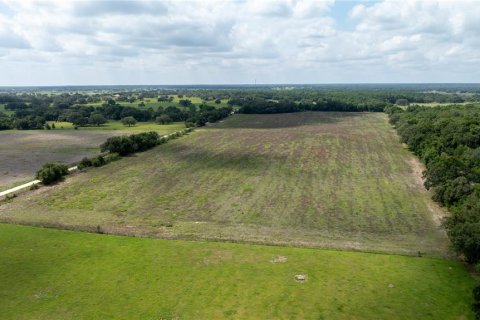 Land in Morriston, Florida № 1747455 - photo 10