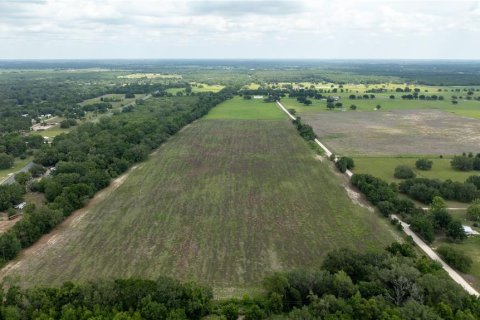 Land in Morriston, Florida № 1747455 - photo 16
