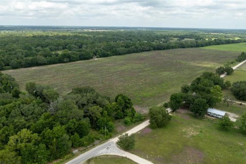 Land in Morriston, Florida № 1747455 - photo 18