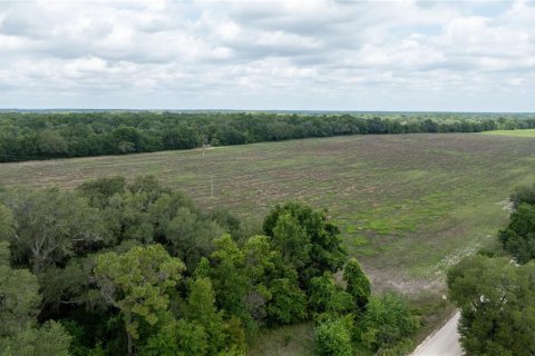 Land in Morriston, Florida № 1747455 - photo 19