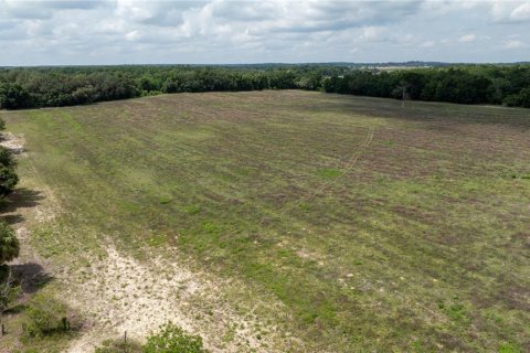 Land in Morriston, Florida № 1747455 - photo 3