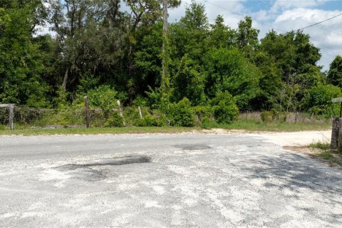 Land in Morriston, Florida № 1747455 - photo 1