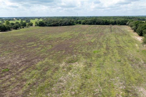 Land in Morriston, Florida № 1747455 - photo 6