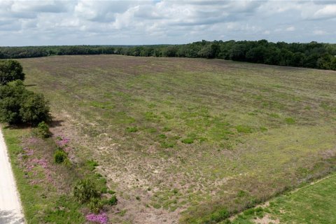 Land in Morriston, Florida № 1747455 - photo 4