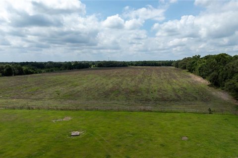 Land in Morriston, Florida № 1747455 - photo 9
