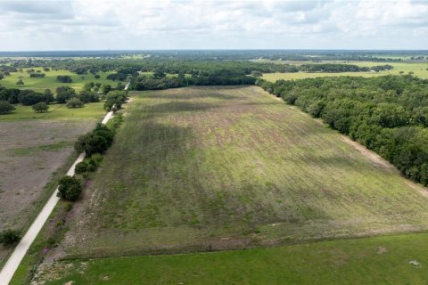 Land in Morriston, Florida № 1747455 - photo 13
