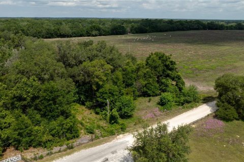 Land in Morriston, Florida № 1747455 - photo 2