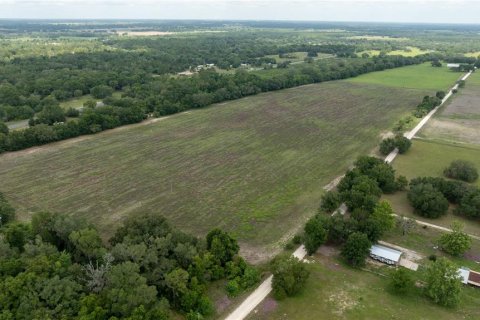 Land in Morriston, Florida № 1747455 - photo 17