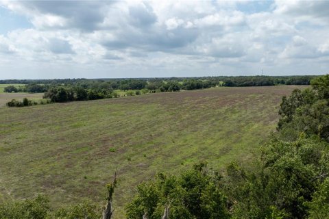Land in Morriston, Florida № 1747455 - photo 5