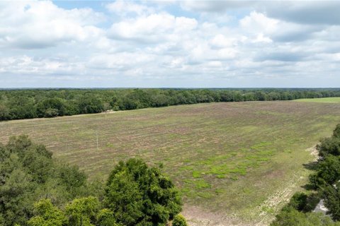Land in Morriston, Florida № 1747455 - photo 8