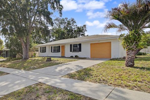 House in Spring Hill, Florida 2 bedrooms, 119.75 sq.m. № 2277019
