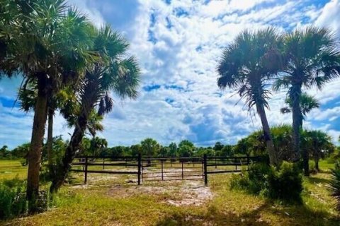 Commercial property in Okeechobee, Florida № 2259701 - photo 3