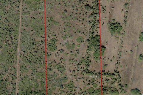 Commercial property in Okeechobee, Florida № 2259701 - photo 10