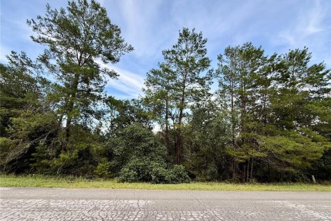 Terrain à vendre à Eustis, Floride № 1805546 - photo 7