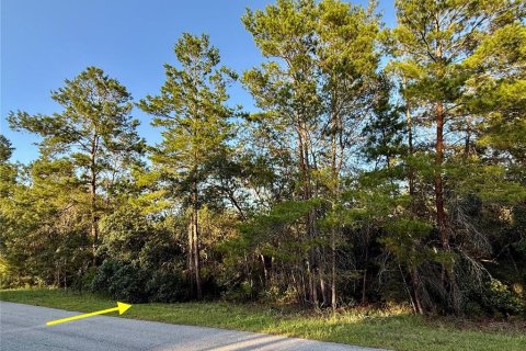 Terrain à vendre à Eustis, Floride № 1805546 - photo 3