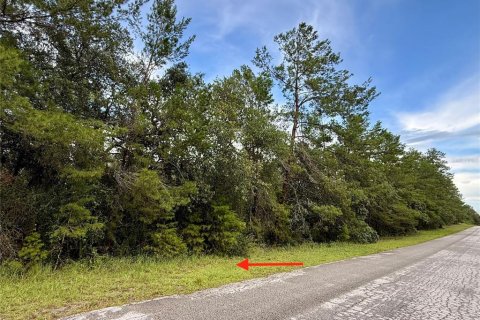 Terrain à vendre à Eustis, Floride № 1805546 - photo 6