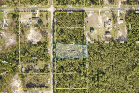 Terrain à vendre à Eustis, Floride № 1805546 - photo 9