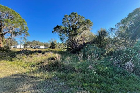 Land in Lake Wales, Florida № 1561191 - photo 7