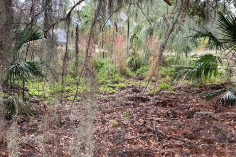 Land in Lake Wales, Florida № 1561191 - photo 8