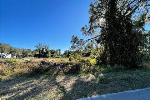 Land in Lake Wales, Florida № 1561191 - photo 5