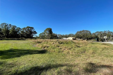 Land in Lake Wales, Florida № 1561191 - photo 4