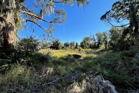 Land in Lake Wales, Florida № 1561191 - photo 6