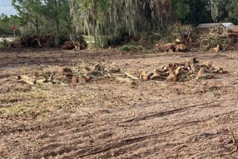 Land in Lake Wales, Florida № 1561191 - photo 2
