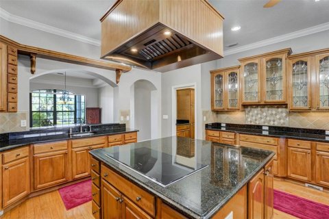 Casa en venta en Plant City, Florida, 4 dormitorios, 602.94 m2 № 1636811 - foto 24