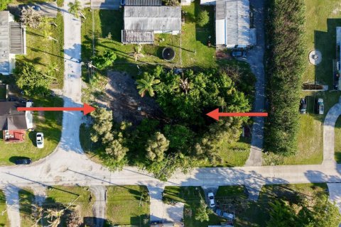 Immobilier commercial à vendre à Stuart, Floride № 2249445 - photo 2