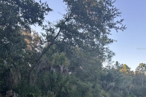 Land in Port Charlotte, Florida № 2162552