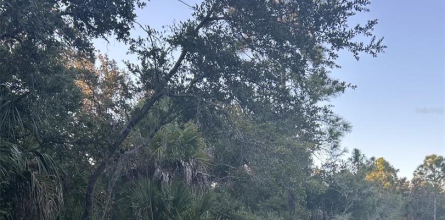 Land in Port Charlotte, Florida № 2162552