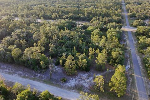 Land in Indian lake estates, Florida № 2224641 - photo 4