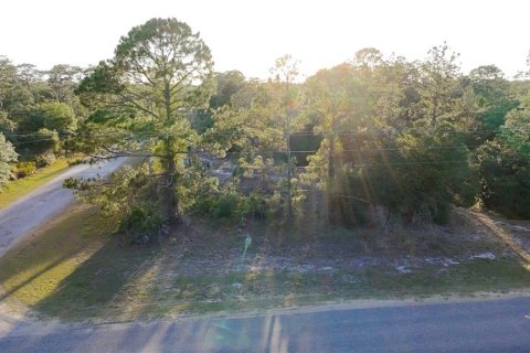 Land in Indian lake estates, Florida № 2224641
