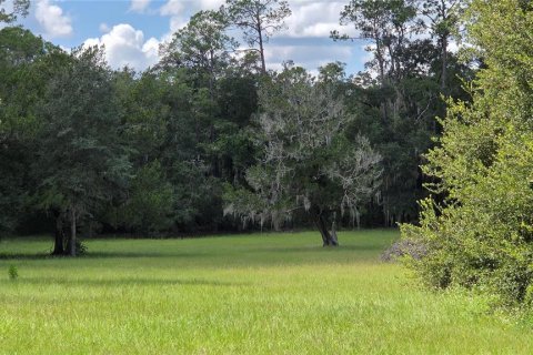 Casa en venta en Bronson, Florida, 3 dormitorios, 141.03 m2 № 2383735 - foto 4